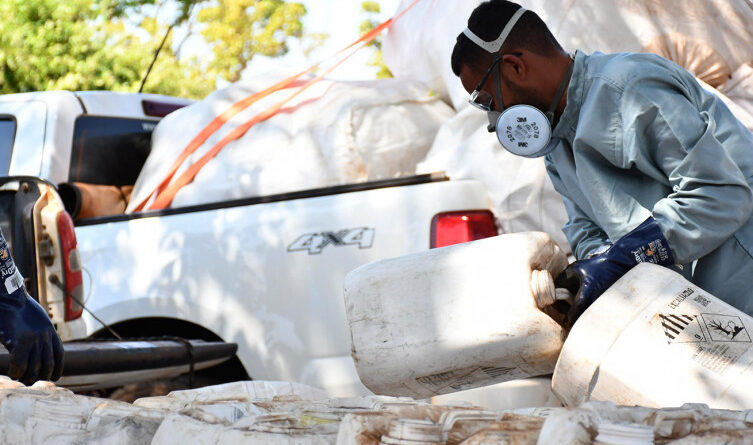 Brasil atinge marca inédita de destinação correta de embalagens de defensivos agrícolas