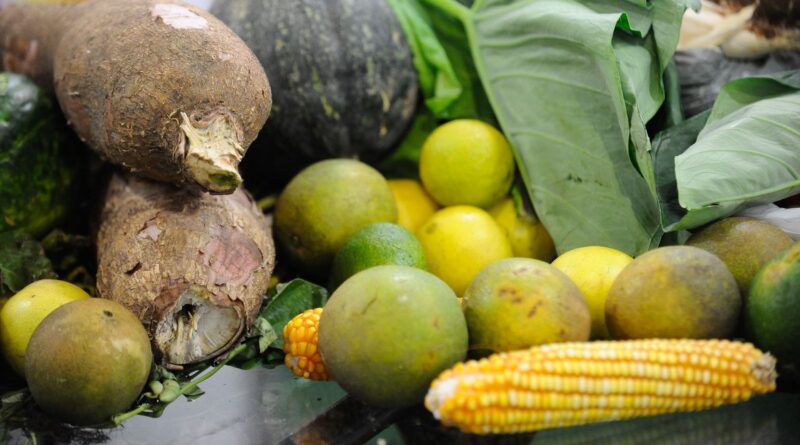 guia alimentar - crianças e gestantes - fernando frazão - agência brasil