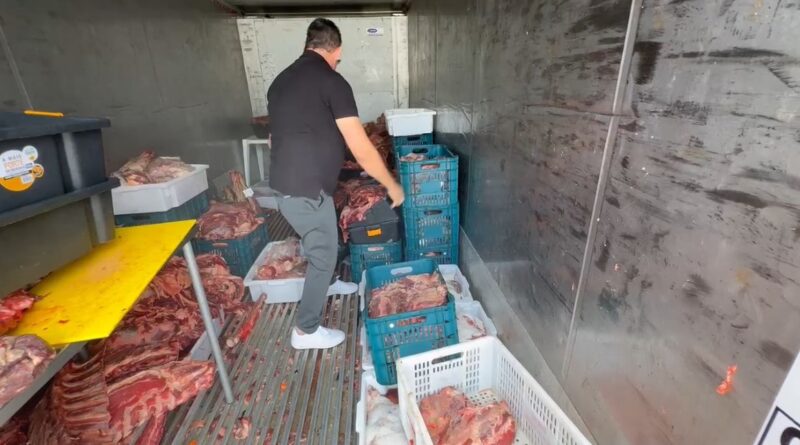 carne estragada Itajaí