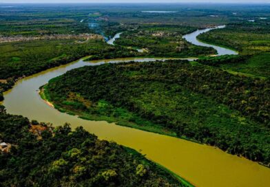 agronegócio, Pantanal, projeto