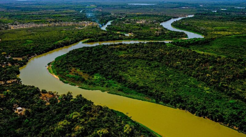 agronegócio, Pantanal, projeto