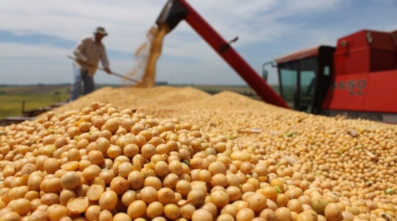 Plano Safra, colheita da soja, grãos. usda, soja, empregos