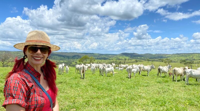 Bem-estar animal melhora produtividade, manejo e relação no agro