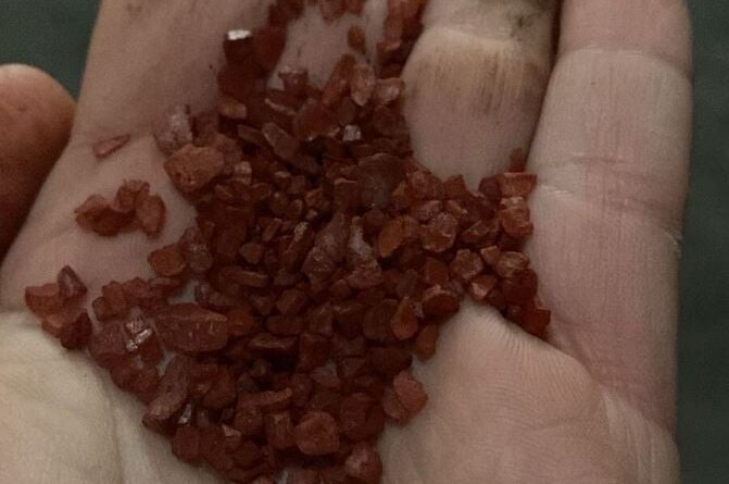 fertilizantes adulterados Polícia Civil do Paraná