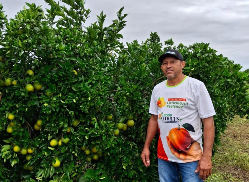 produtor de laranjas, citricultor, Rio Real