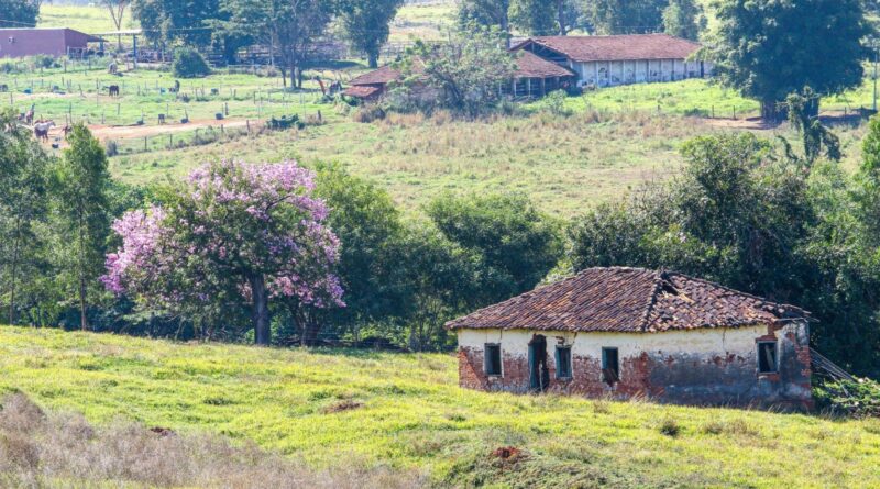 Nova lei do Ibama: entenda como a regularidade de toda a fazenda evita multas
