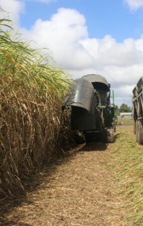 Cetesb e Unica firmam cooperação para modernizar gestão ambiental e uso de resíduos