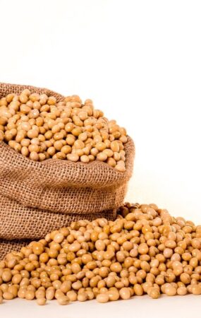 Sem compras robustas de soja pela China, Chicago demonstra cautela