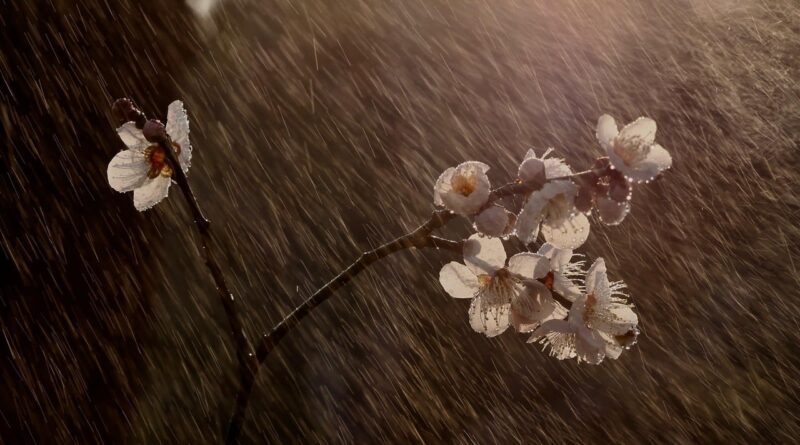 frente fria primavera temporais