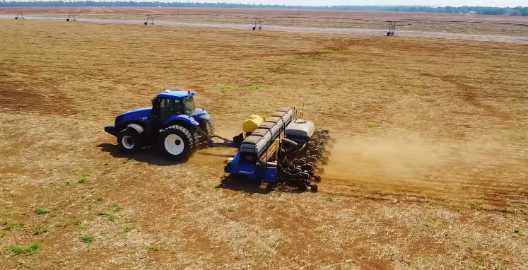 8 estados concluem a semeadura de soja no Brasil, que atinge 97,9% de área; saiba quais