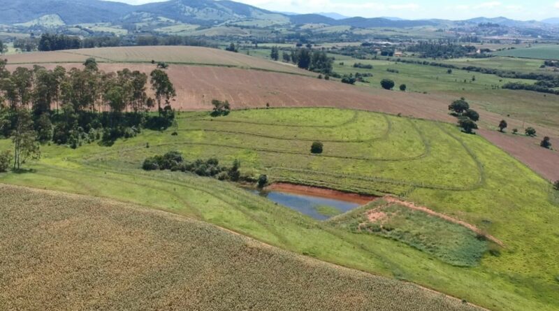 Produtor transforma área ociosa em ativo ambiental no Sul de Minas