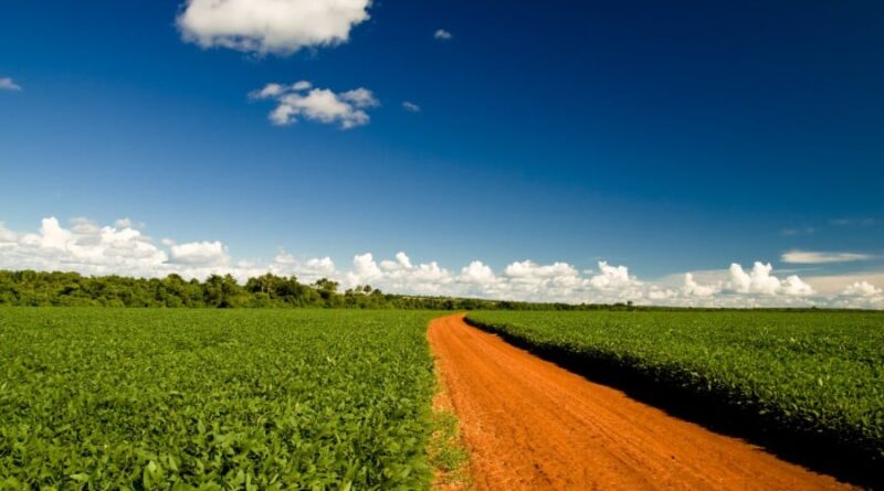 Aprosoja MT analisa decreto que regulamenta o acordo da Moratória da Soja