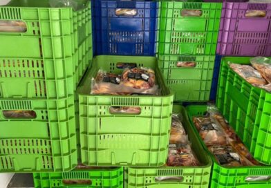 Três toneladas de carne de galinha-d’angola são apreendidas em abatedouro clandestino