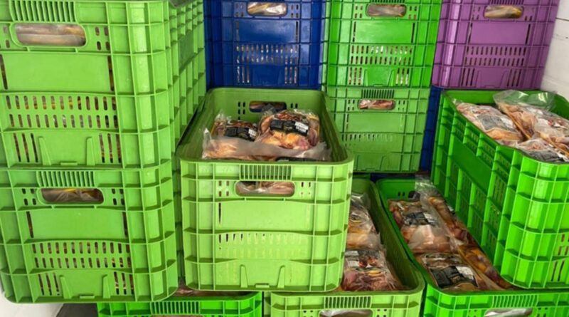 Três toneladas de carne de galinha-d’angola são apreendidas em abatedouro clandestino