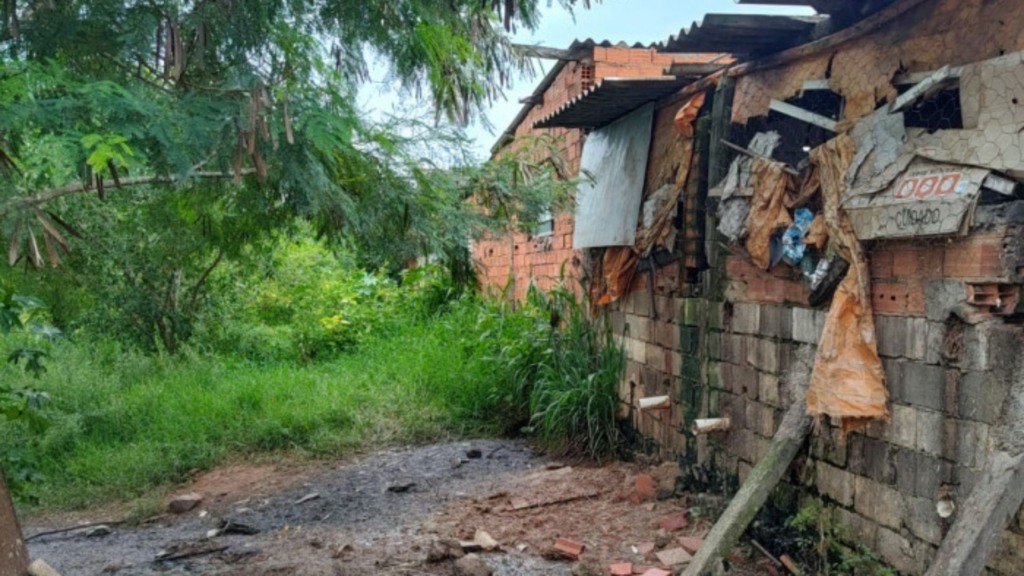 Foto: Divulgação/Defesa Agropecuária de São Paulo.