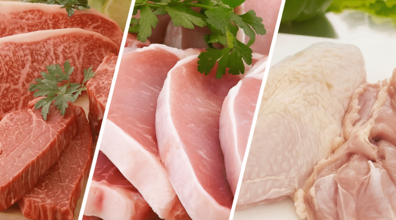 complexo carne exportações