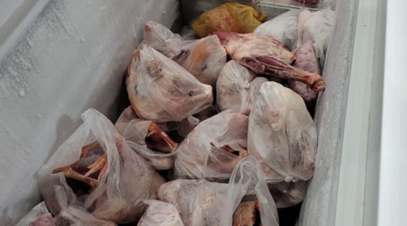 Foto: Divulgação/Defesa Agropecuária de São Paulo.