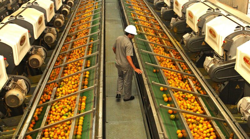 Laranja Indústria, Fundecitrus