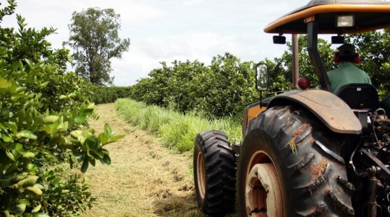 Agro de São Paulo fecha 2025 com superávit de US$ 23 bilhões