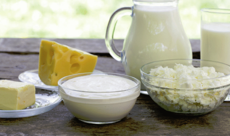 lácteos