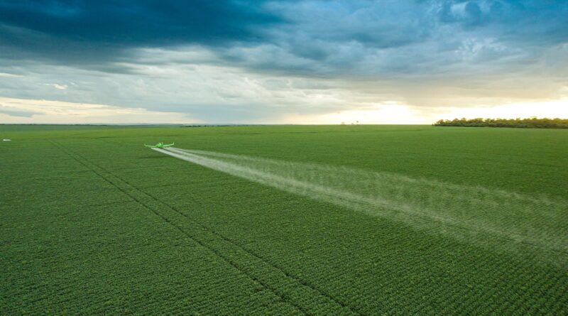 Plantação de milho em Luís Eduardo Magalhães, no Oeste da Bahia (Foto: Divulgação/Inpasa Brasil).