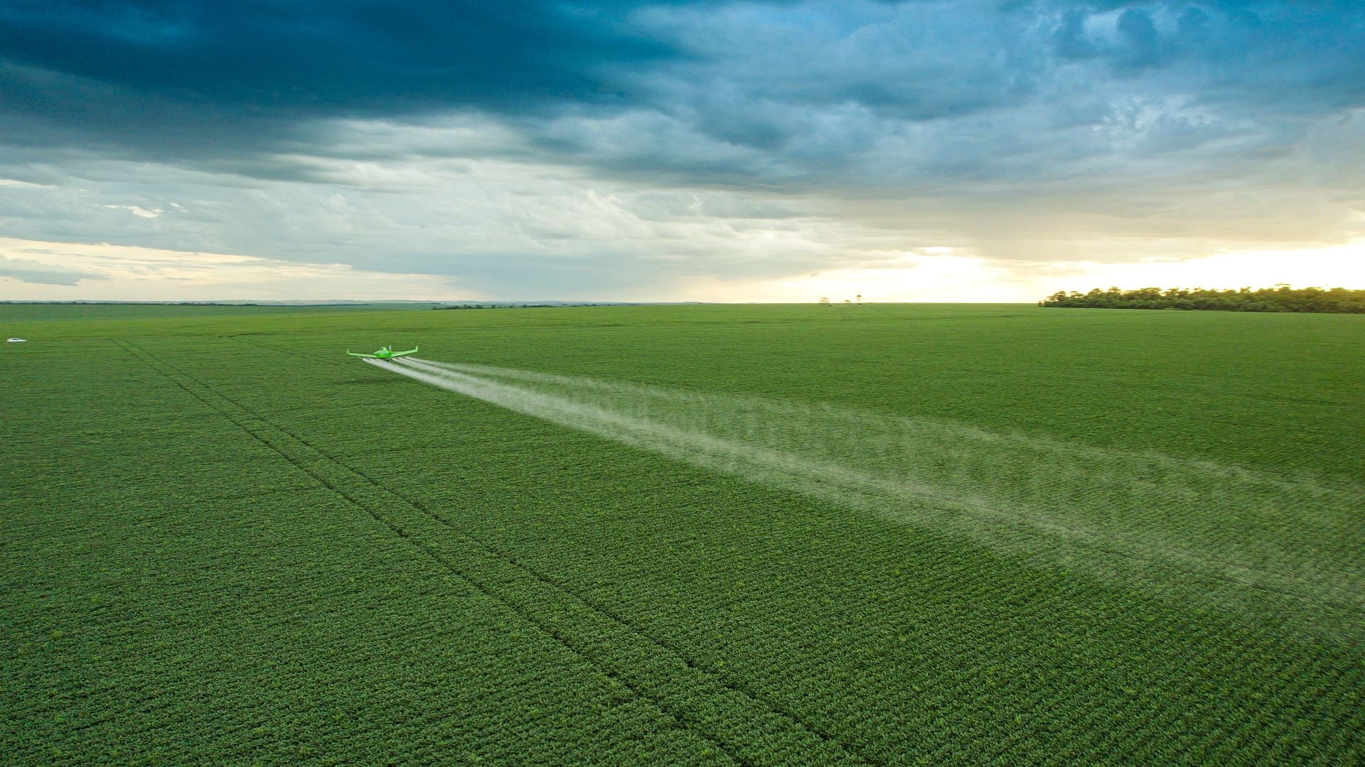 Plantação de milho em Luís Eduardo Magalhães, no Oeste da Bahia (Foto: Divulgação/Inpasa Brasil).
