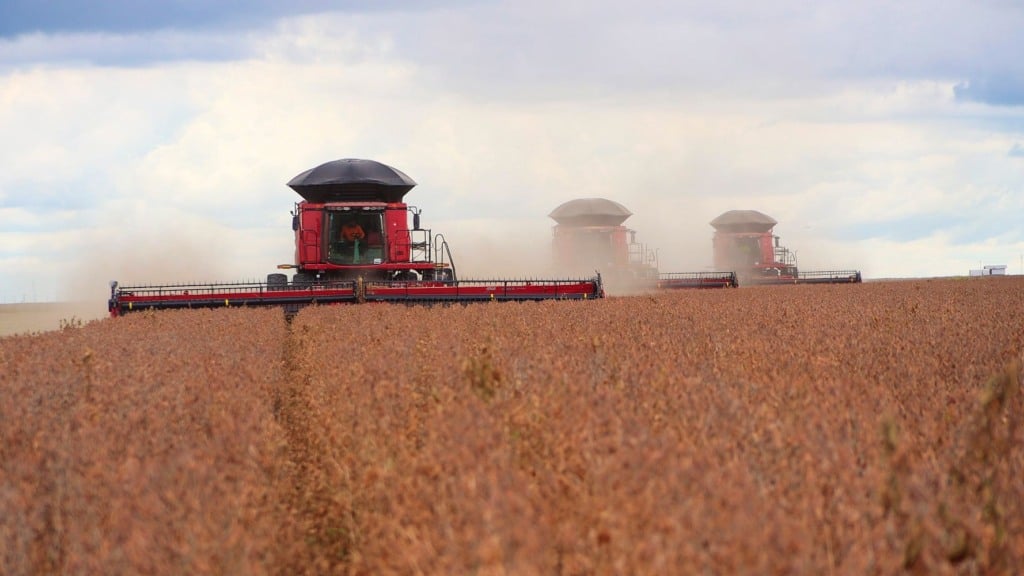 Bahia alcança maior média de produtividade da soja