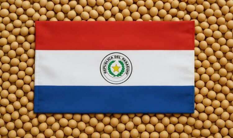 soja Paraguai