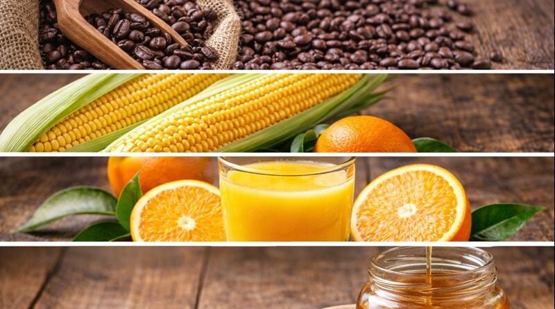 Café, milho, laranja e mel