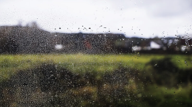 Chuva intensa ‘trava’ colheita de soja em MT e aumenta apreensão dos sojicultores; previsão aponta melhora?