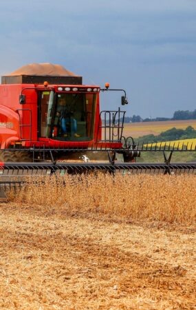 Cascavel, colheita de Soja, safra