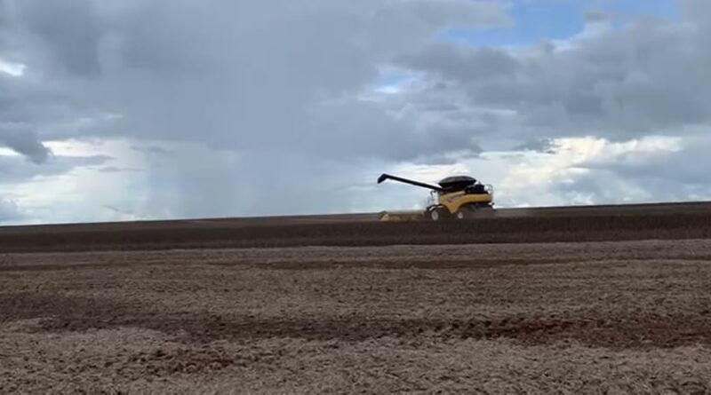 Colheita de soja na Fazenda Itamarati Norte da Amaggi em Campo Novo do Parecis