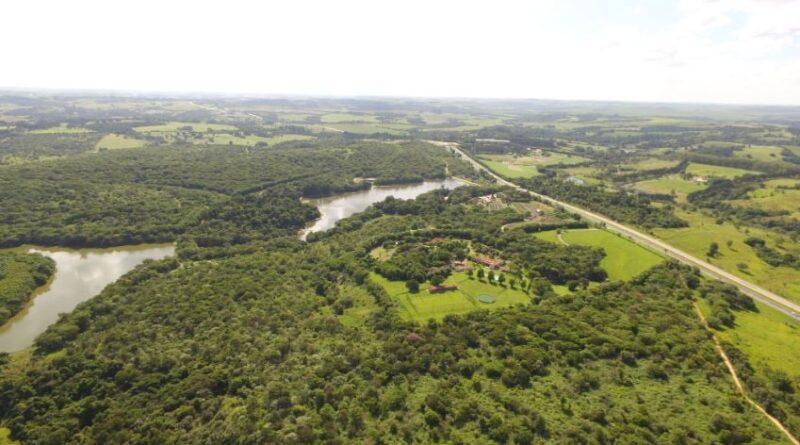 fazenda grupo heineken