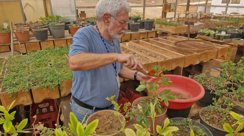 José Valls, pesquisador da Embrapa