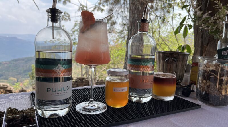 Família de Minas Gerais cria primeiro gim do Brasil com mel de abelhas nativas