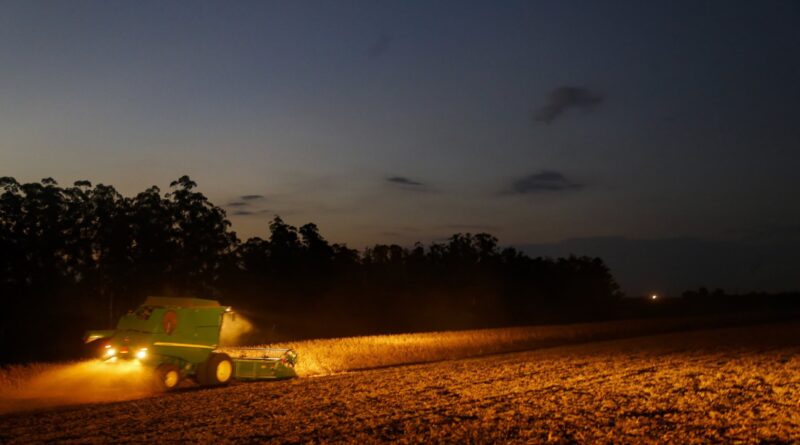 Governo do PR amplia plantio de soja no estado para áreas produtoras de sementes
