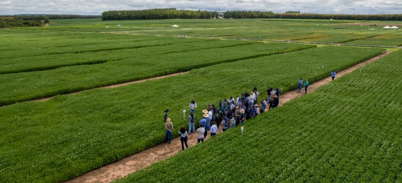 Início do ano terá visitas técnicas, resultados de pesquisas e auxílio a sojicultores em MT