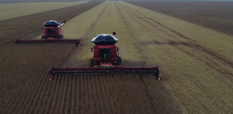 MT: colheita de soja começa com bom desempenho, mas alto custos seguem como gargalos