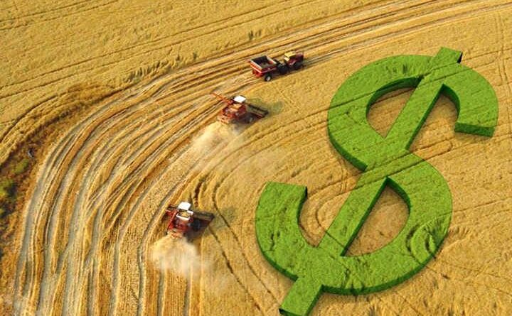 Cotação da soja, preços