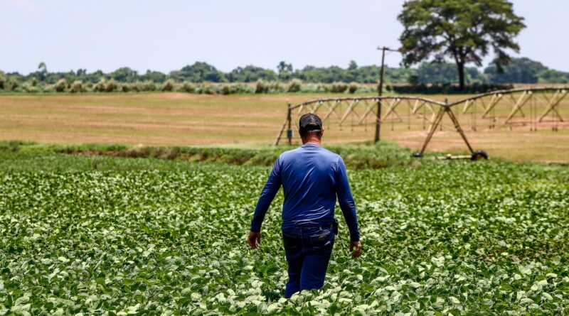 produtor rural em Porto Ferreira (SP)