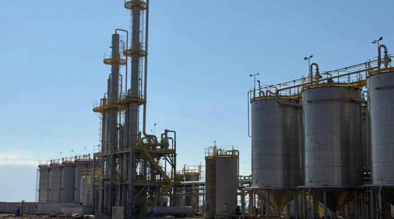 Operação da primeira usina de etanol de trigo do Brasil é autorizada