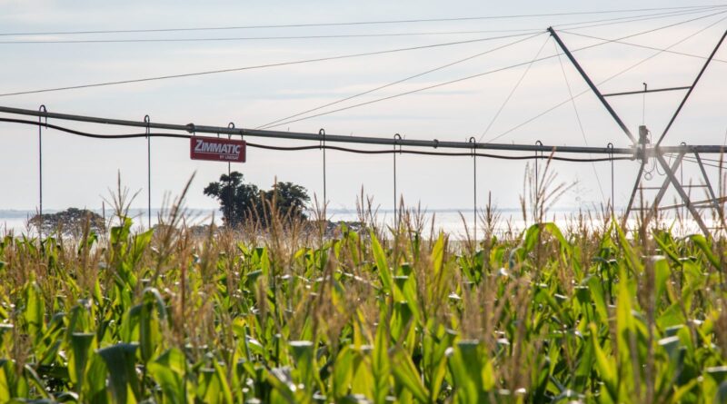 pivô de irrigação
