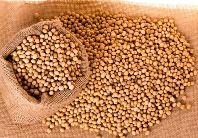 Soja apresenta preços mistos; saiba o ritmo das negociações da oleaginosa no Brasil