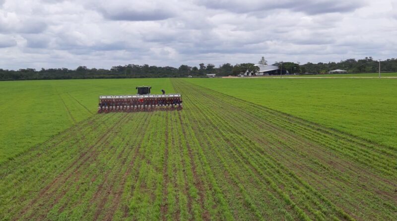 Início do plantio da soja em Roraima