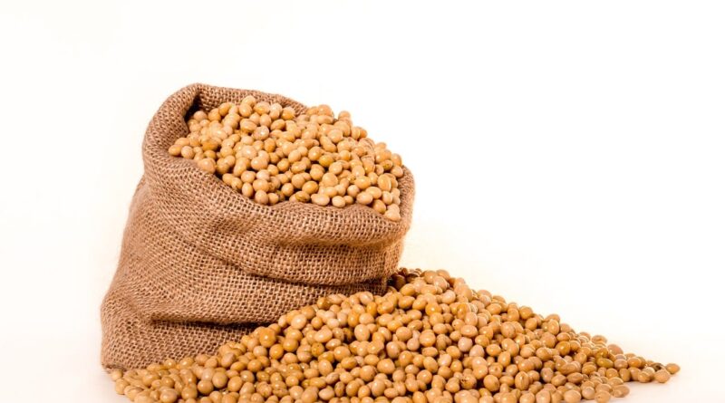 ‘Manter soja parada por meses significa perder dinheiro’, alerta analista