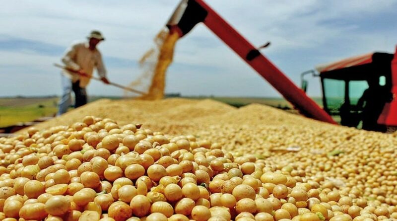 ‘Receber a Abertura da Colheita é oportunidade de mostrar a força do produtor tocantinense’, diz presidente da Aprosoja TO