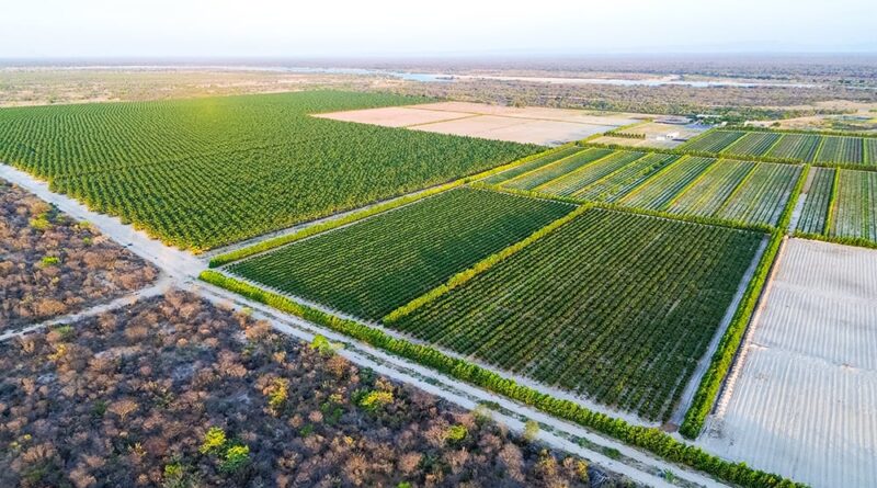 Barra AgroShow 2026: Lançamento em Juazeiro marca expansão estratégica do Médio São Francisco